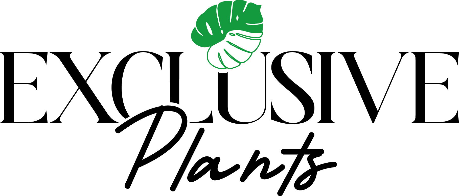 Vivero Principal